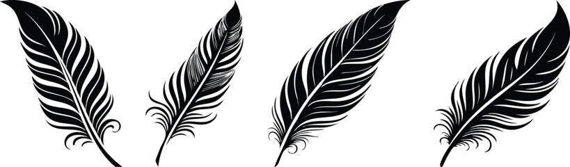 Obraz premium Decorative feather plume detailed bold black line art writing ornament illustration