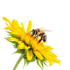 A bee collecting pollen from a bright yellow flower