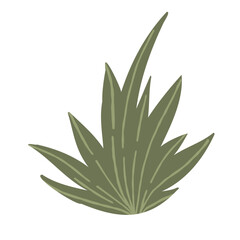 Green grass bush vector illustration, hand drawn stylized meadow plant isolated on white background.