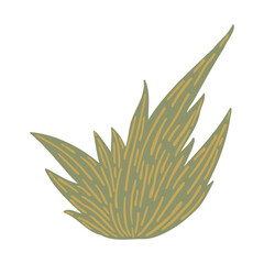 Green grass bush vector illustration, hand drawn stylized meadow plant isolated on white background.