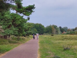 Fototapeta premium Fahrradwege und Schafe in den Dünen