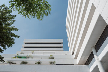 A low angle shot looking up at the exterior facade of a white modern concrete building featuring balconies and clean lines, framed by green trees against a blue sky.