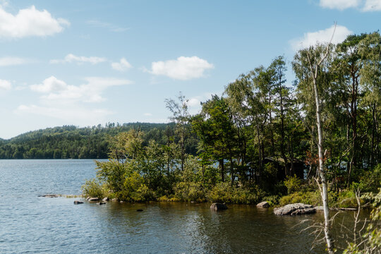 Lush forested shoreline with rocks on the banks of Stora Hornsj&ouml;n lake, Sweden