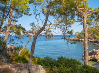 A picturesque azure bay in a pine forest against the background of mountains. Phaselis, Turkey