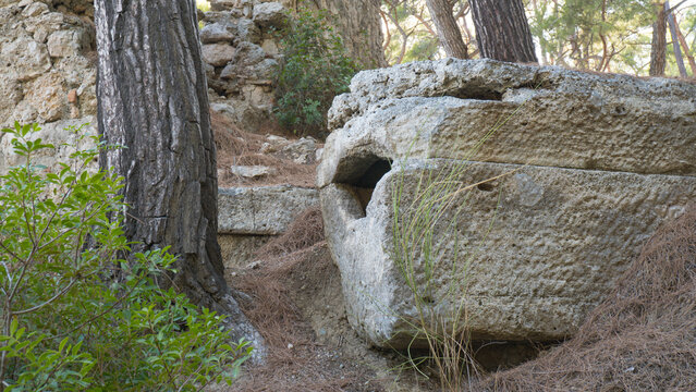 Stone Tomb in Phaselis Ancient Necropolis in Turkey