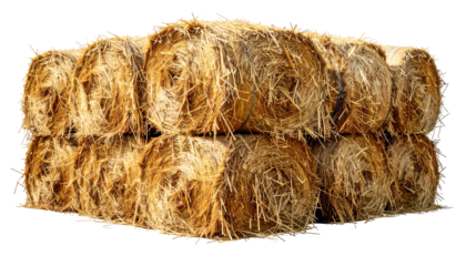 A stack of golden, cylindrical hay bales, tightly bound, against a transparent background