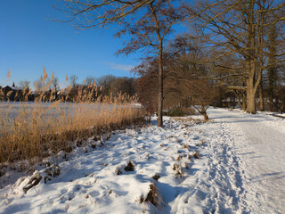 Der Hermann-L&ouml;ns-Park in Hannover ist im Winter eine
ruhige, klare M&auml;rchenlandschaft