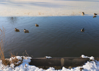 Der Hermann-L&ouml;ns-Park in Hannover ist im Winter eine
ruhige, klare M&auml;rchenlandschaft