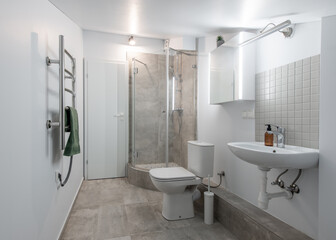 Modern Home Bathroom Interior With Glass Shower and Contemporary Design