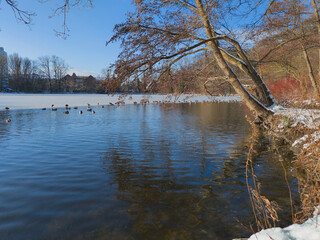Der Hermann-L&ouml;ns-Park in Hannover ist im Winter eine
ruhige, klare M&auml;rchenlandschaft