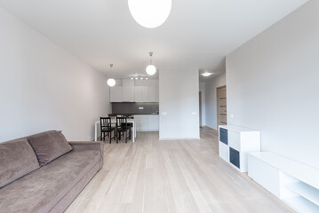 Modern Home Apartment Living Room with Kitchen and Dining Area