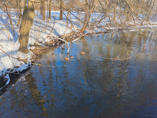Der Hermann-L&ouml;ns-Park in Hannover ist im Winter eine
ruhige, klare M&auml;rchenlandschaft
