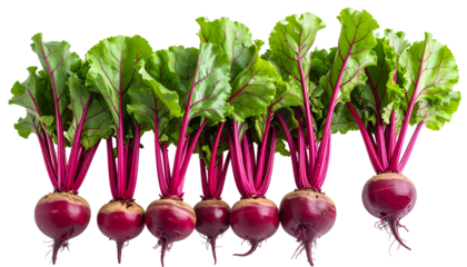 Seven fresh beets with vibrant red roots and green leafy tops, isolated on black