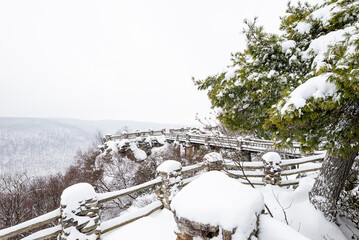 Canyon Overlook - Snowy Winter Scene - Coopers Rock State Forest, West Virginia