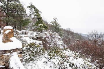 Canyon Overlook - Snowy Winter Scene - Coopers Rock State Forest, West Virginia