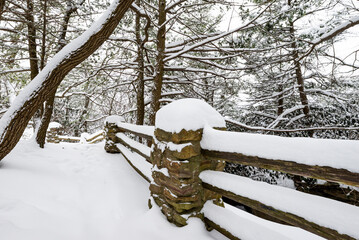 Snowy Winter Scene - Coopers Rock State Forest, West Virginia