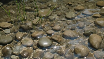 Close-up shows water over smooth, rounded stones, with green grasses growing