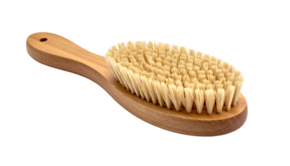 Wooden body brush with natural bristles, handle, and oval head, isolated on black