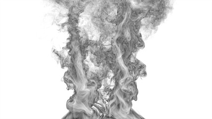 Two Isolated swirling vortex of white smoke or mist on a white background