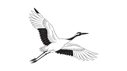 Obraz premium Flying Crane Bird Line Art Vector Illustration
