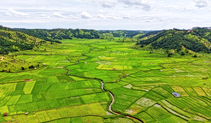 An aerial view of a narrow river winding through a patchwork of lush green agricultural fields, revealing intricate land divisions, irrigation patterns, and the vibrant textures of rural farming lands