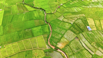 An aerial view of a narrow river winding through a patchwork of lush green agricultural fields, revealing intricate land divisions, irrigation patterns, and the vibrant textures of rural farming lands