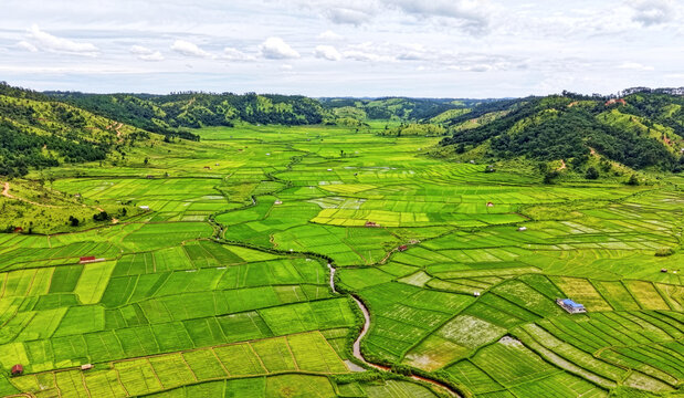 An aerial view of a narrow river winding through a patchwork of lush green agricultural fields, revealing intricate land divisions, irrigation patterns, and the vibrant textures of rural farming lands