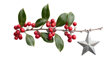 A sprig of holly with red berries and a silver star ornament against black