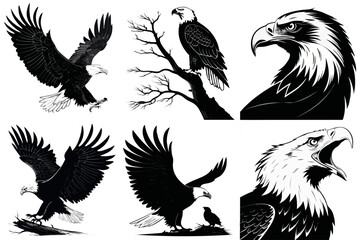 Obraz premium Eagle Silhouette Vector Icon Sheet Black Various Postures Logo Tattoo