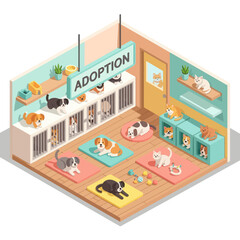 Obraz premium Animal Shelter with Cats Waiting Adoption.