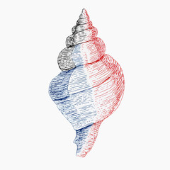 Doodle vector illustration of seashell with red and blue accents, Simple, decorative design suitable for tattoo, greeting cards, home decor, or educational packaging with copy space