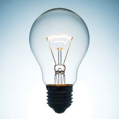 A clear glass light bulb with a glowing filament is displayed