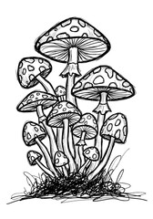 Artistic black ink sketch depicting a dense cluster of spotted toadstools with visible gills and ringed stems growing from a scribbled mossy base in monochrome style