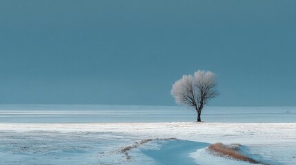 Minimalist Lone Tree Covered in Frost Stands in Snowy Landscape Scene
