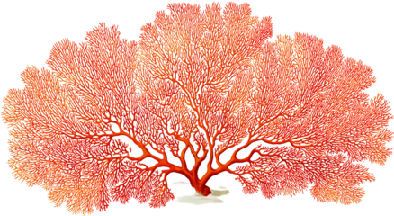 Fiery red coral-like formation with intricate branches, illuminated against black