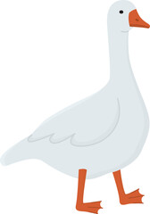 Domestic white goose isolated on transparent background. Illustration with farm bird