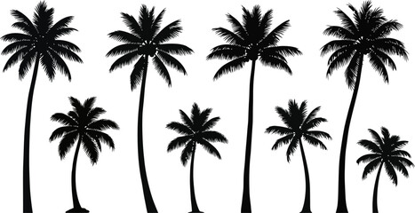 Fototapeta premium Set of Silhouette Palm Trees on White Background