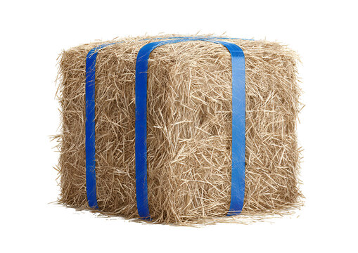 Square hay bale tied with blue straps, isolated on black background