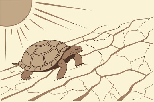 A lone tortoise plods across cracked desert earth under the hot sun