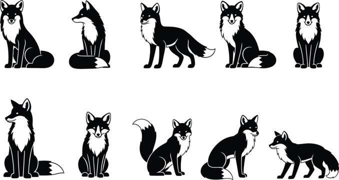 Collection of various fox poses and expressions in black and white