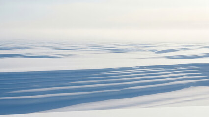 Snowy landscape with long shadows on cold winter day.