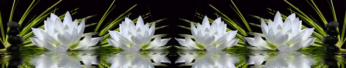 Plexiglas schilderij Toilet Panoramic spa composition with white lotus flowers and black zen stones on water  © MonTeArt