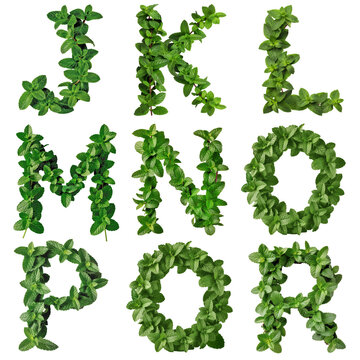MINT, An organic letter form embracing the color and density variation of natural mint.