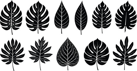 Monstera and Tropical Leaf Silhouettes Collection