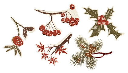 Winter botanical set with frozen branches, berries, leaves and pine cones in hand drawn vector style isolated on white background. The illustration represents winter nature, seasonal decoration