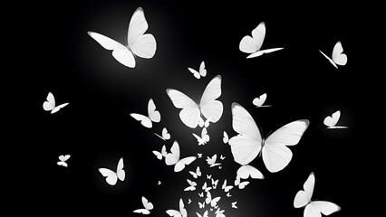 Numerous bright white butterflies illuminated against a deep black background creating a dramatic visual contrast effect © Blood Group