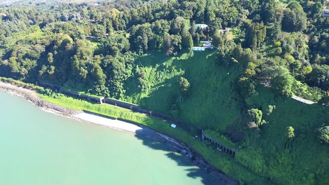 Lush green botanical garden on Black Sea coast in Batumi Georgia. 4K drone footage shows dense evergreen vegetation along a sunny shoreline with vivid colors and calm coastal atmosphere.