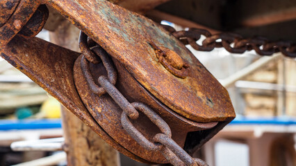 OLYMPUS DIGITAL CAMERA © Marta