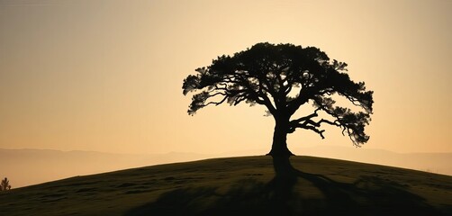 A single, majestic oak tree silhouette stands proudly on a hill, its sprawling branches casting long shadows on the land,  iconic,  land