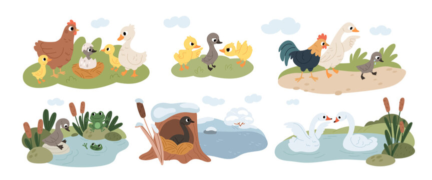 Lonely ugly duckling life scenes. Cartoon birds characters in pond, duck family story, bullying and ridicule, strange appearance, fairy tale illustration, seasonal change garish vector set